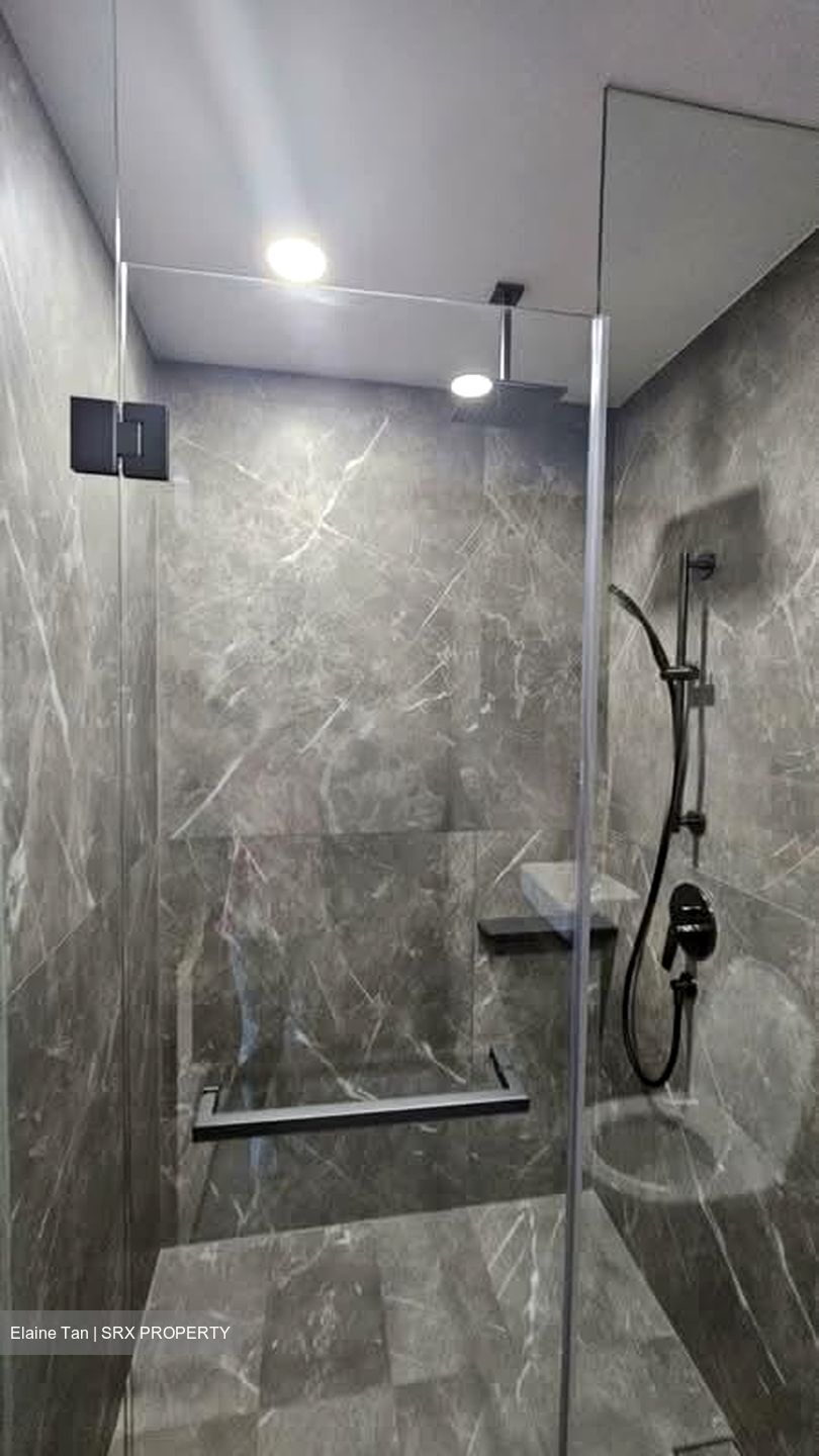 Irwell Hill Residences (D9), Apartment #565838421